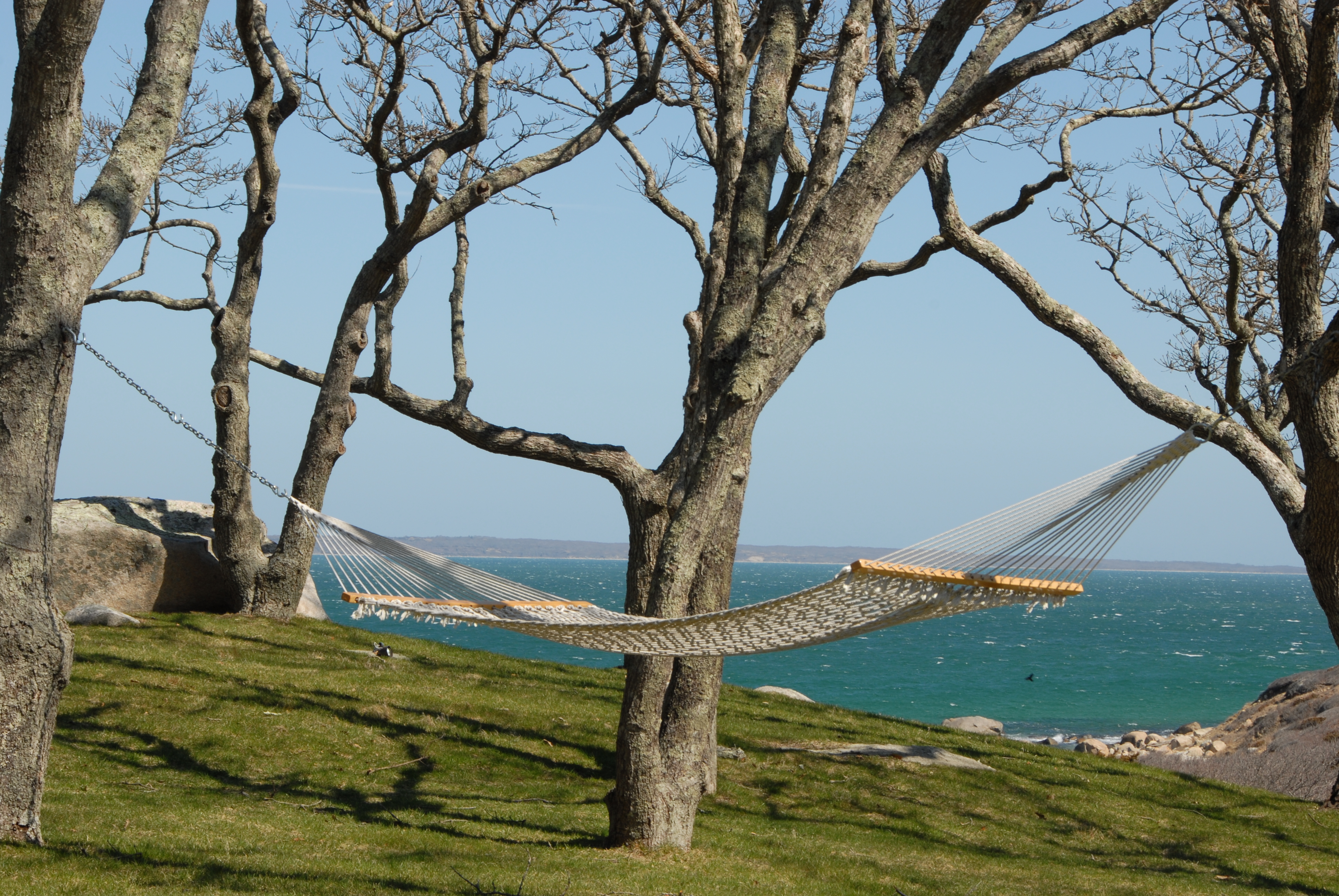 waterview hammock