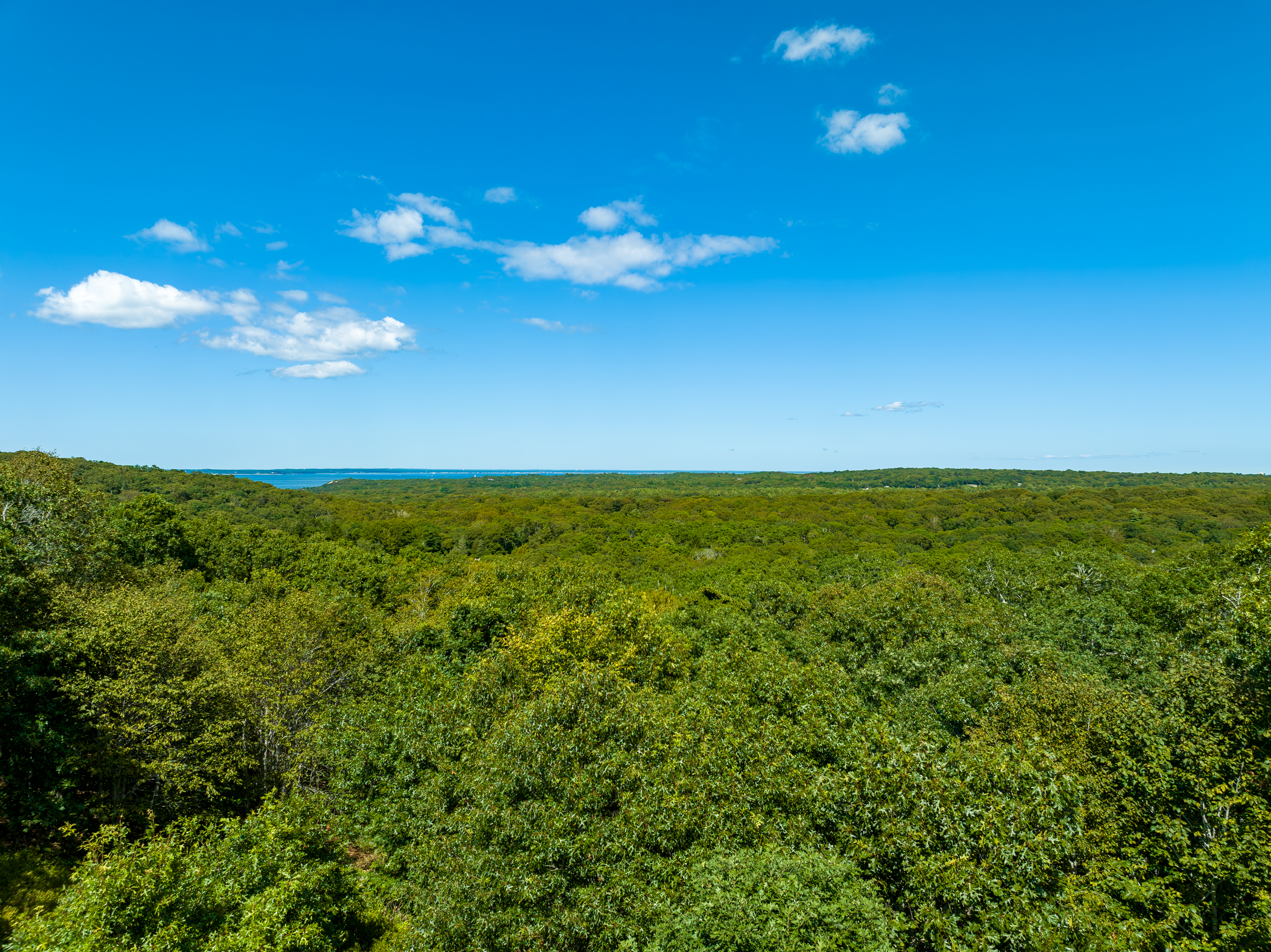 38 Firetower Road, waterview, Martha's Vineyard