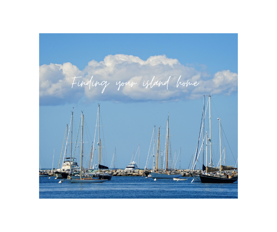 boats in the harbor