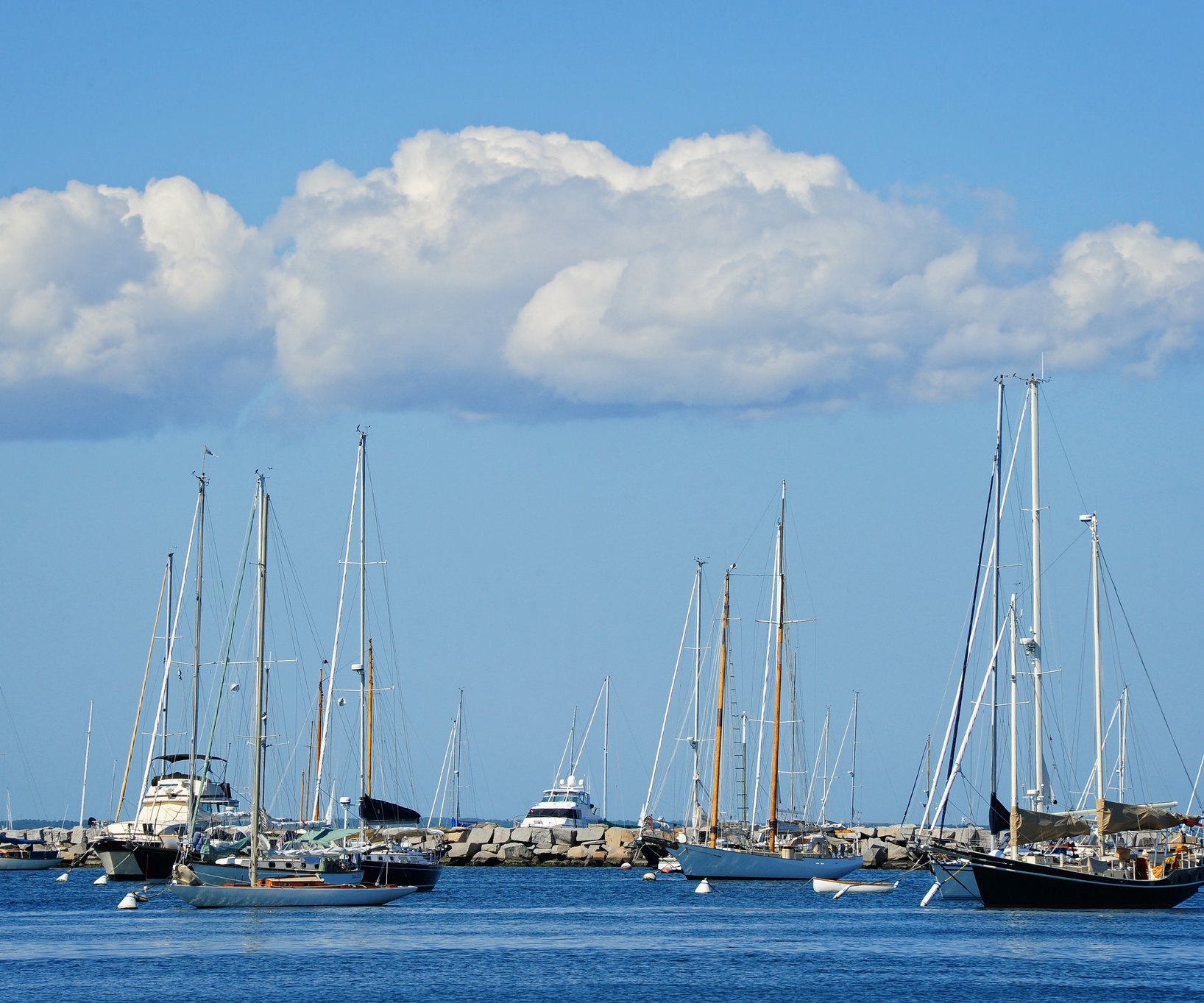 vineyard haven harbor boats