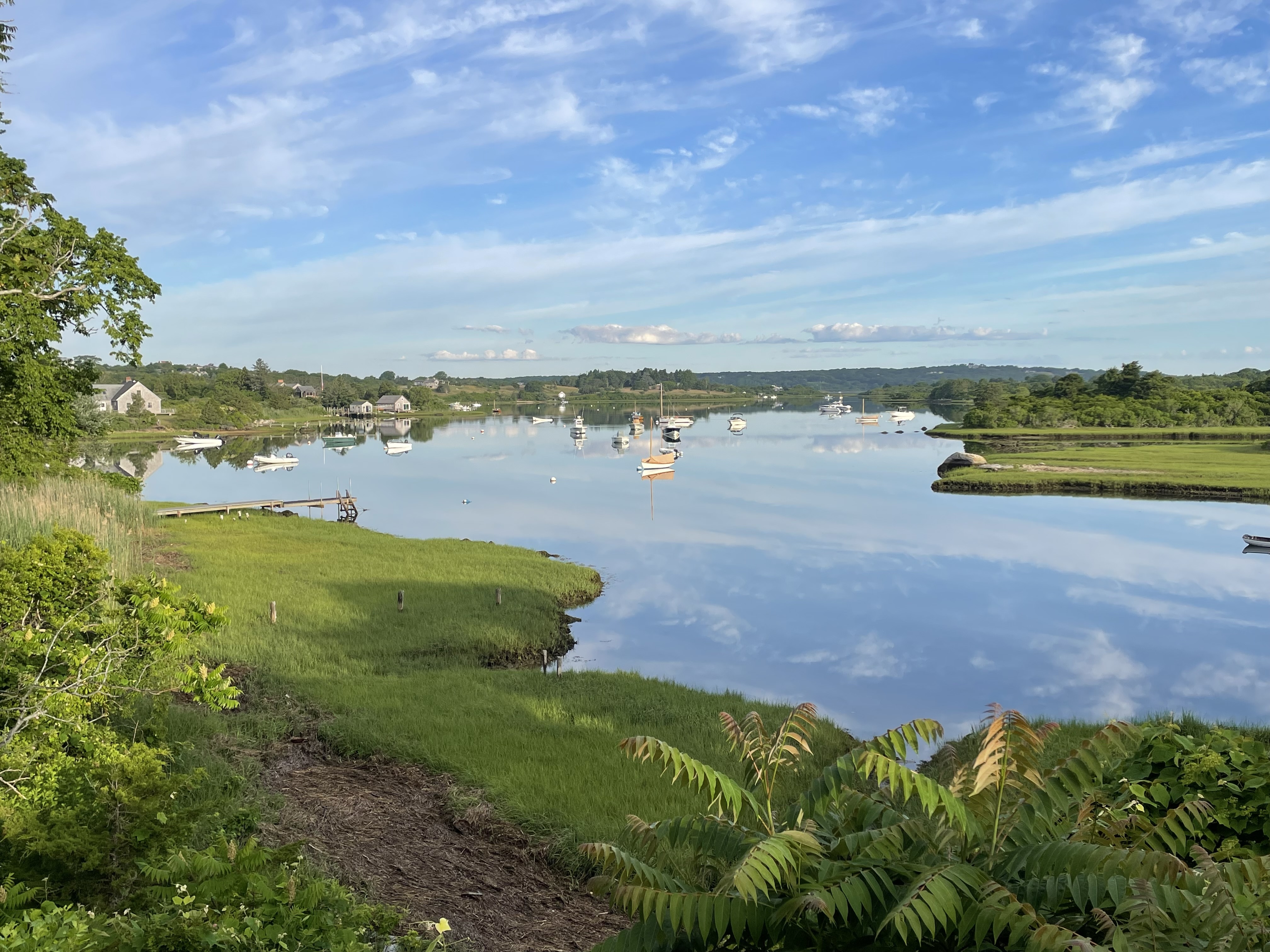 Quitsa pond, Chilmark