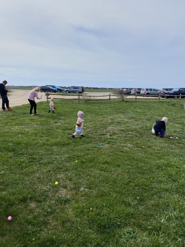 Farm Institute egg hunt