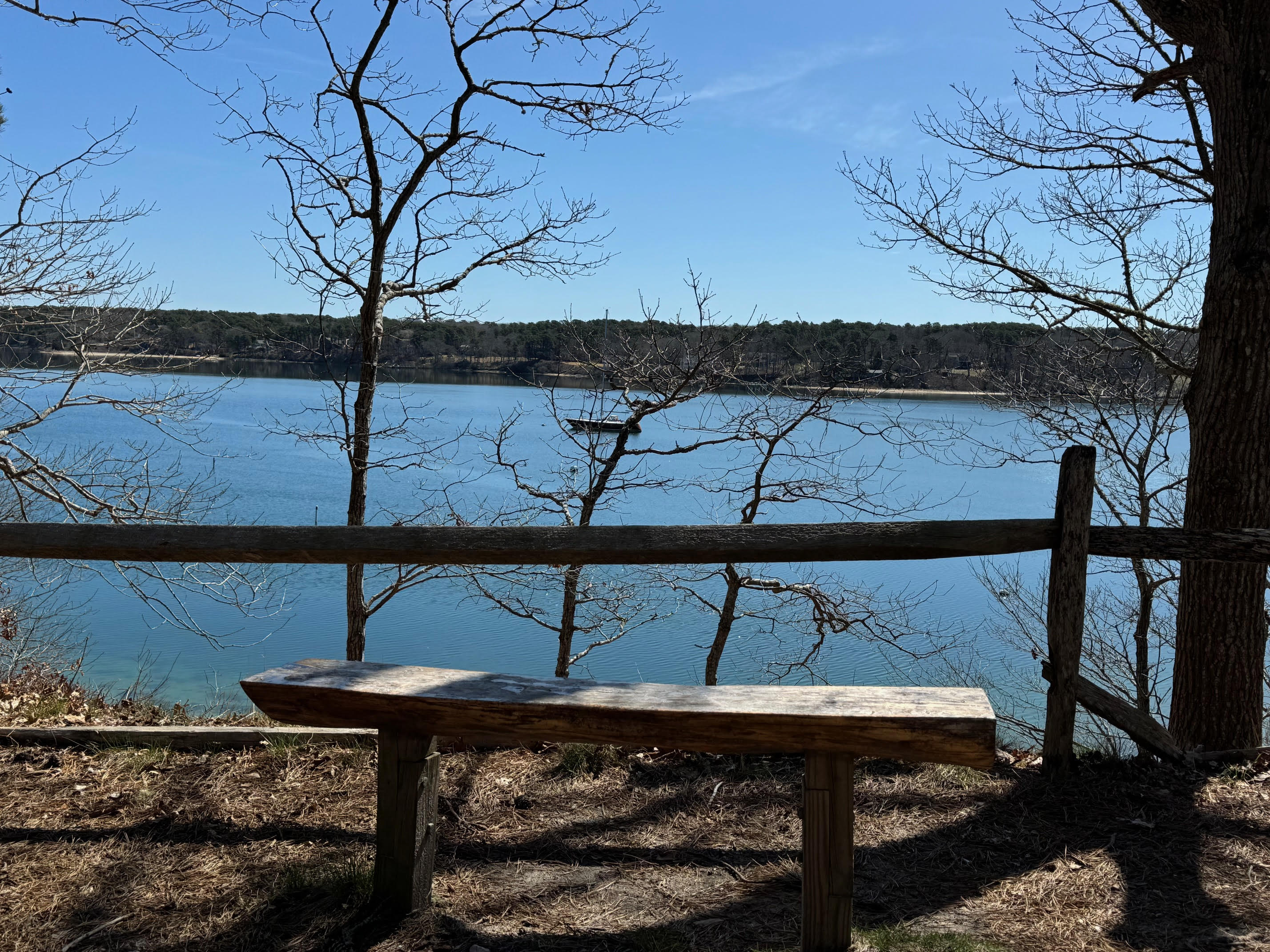 Lagoon Vineyard Haven