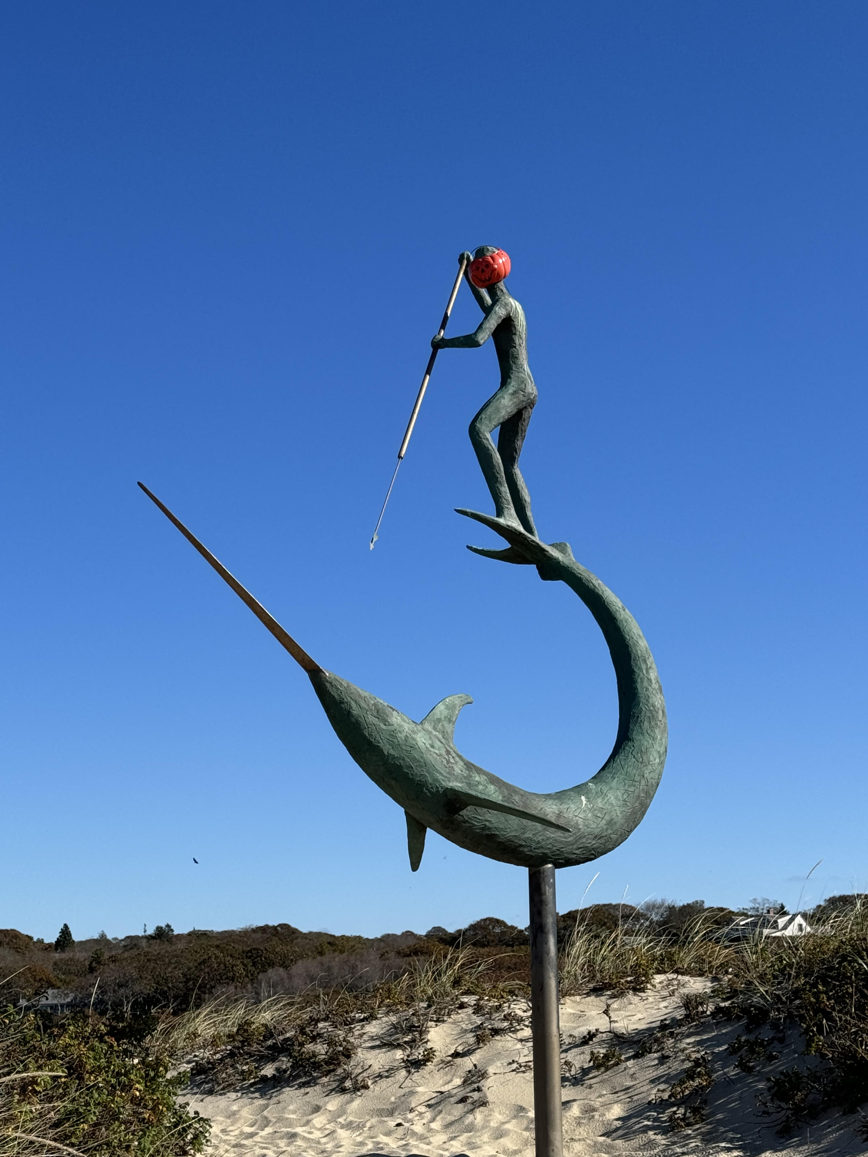 harpooner menemsha