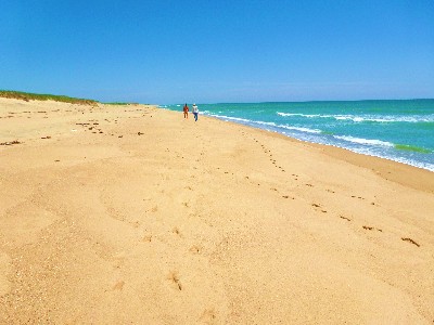 Marthas Vineyard Beach