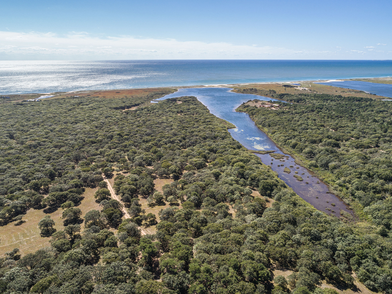 deblois estate, tea lane associates, marthas vineyard real estate