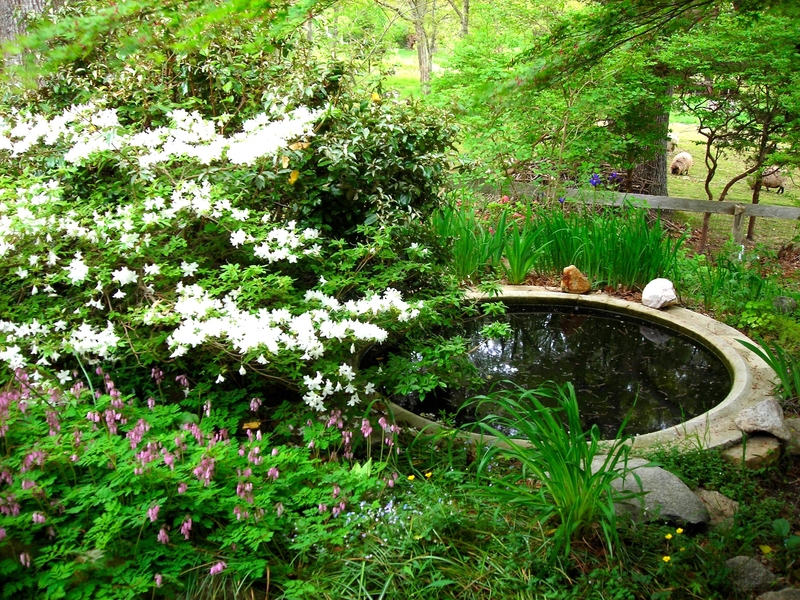 Martha’s Vineyard, Tea Lane Associates, Property For Sale, Featured Property, Cape Cod, Massachusetts, Fish pond