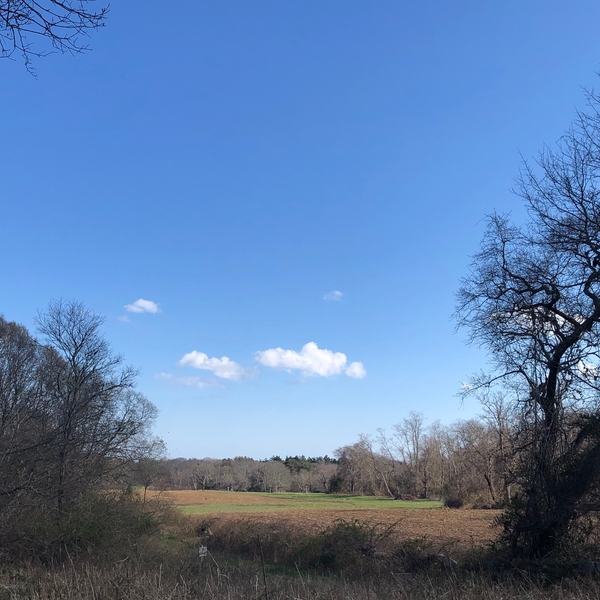 marthas vineyard, sheriffs meadow, trails, walks, farm, meadow