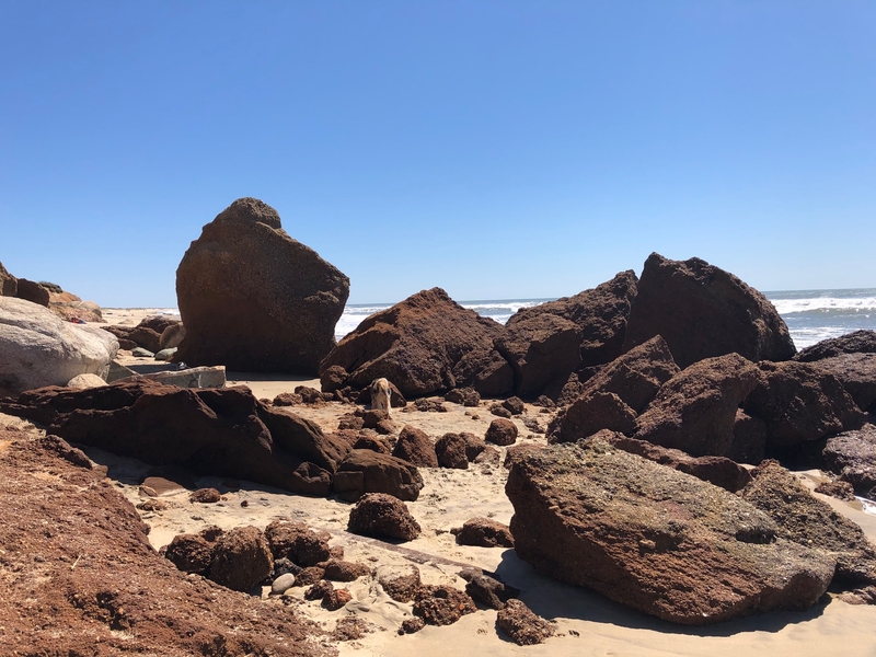 lucy vincent beach, tea lane associates, marthas vineyard