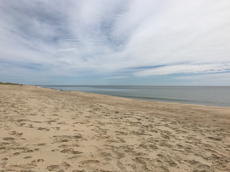 beaches of Marthas Vineyard