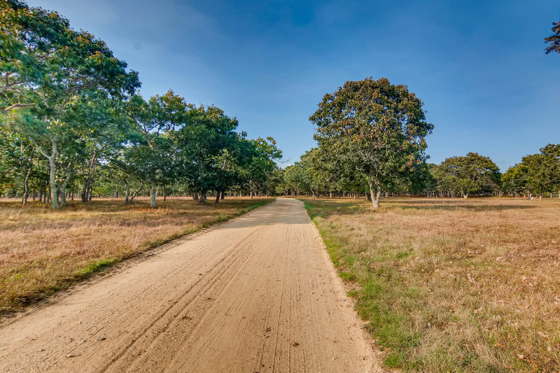 deblois estate, tea lane associates, marthas vineyard real estate