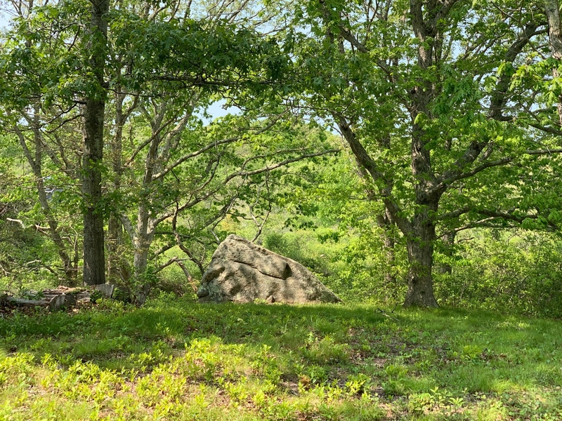 tea lane associates, land for sale, property for sale, marthas vineyard, chilmark