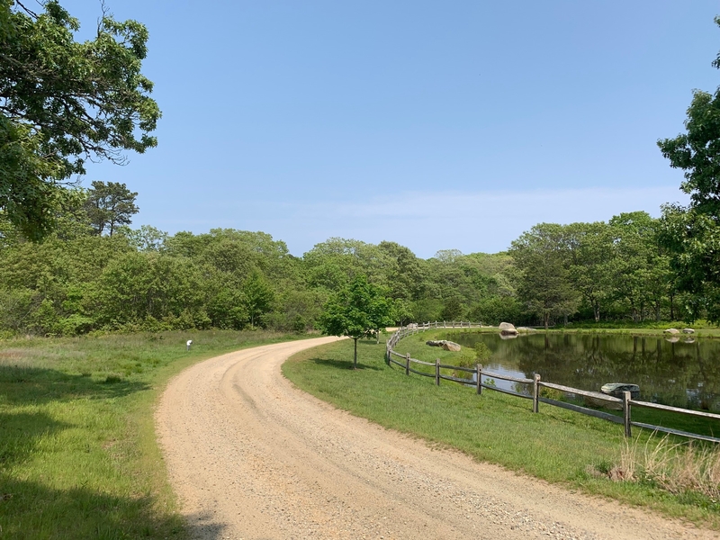 tea lane associates, land for sale, property for sale, marthas vineyard, chilmark