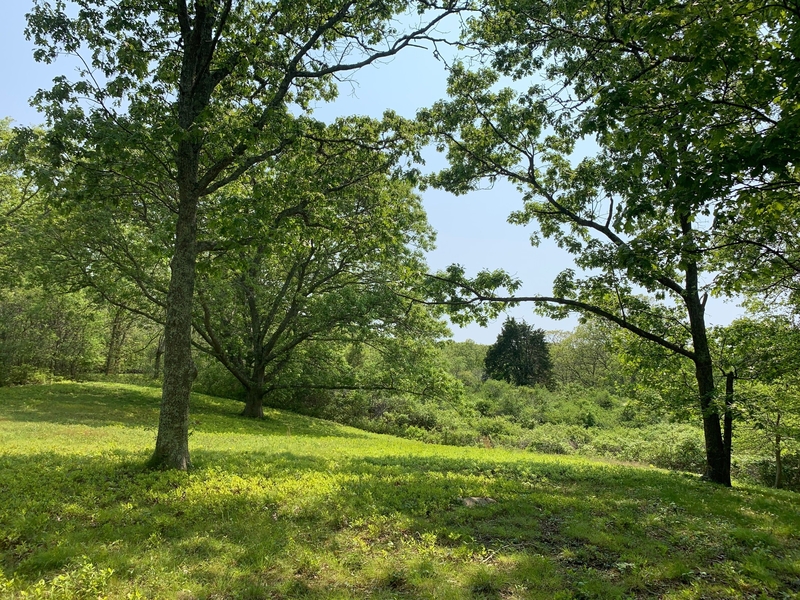 tea lane associates, land for sale, property for sale, marthas vineyard, chilmark