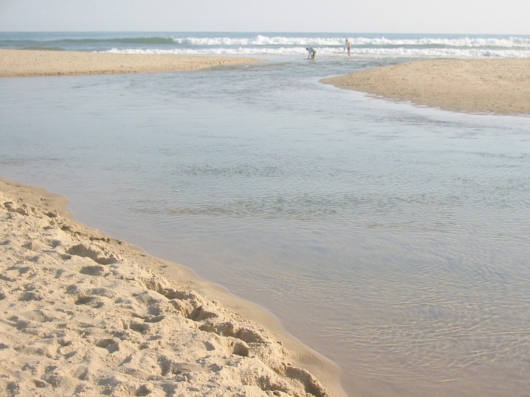 marthas vineyard beaches