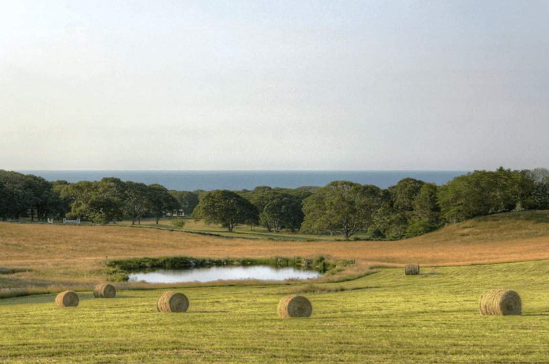 Chilmark Sales