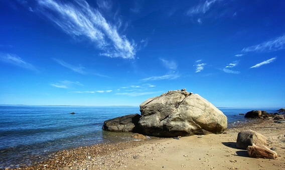 marthas vineyard beach