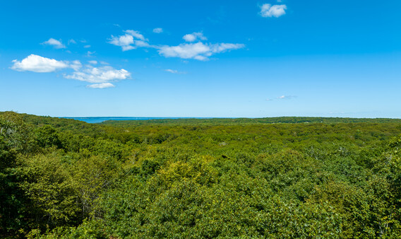 38 Firetower Road, waterview, Martha's Vineyard