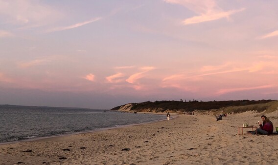 lamberts cove beach west tisbury