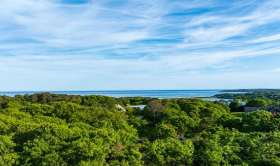 Martha's Vineyard Real Estate