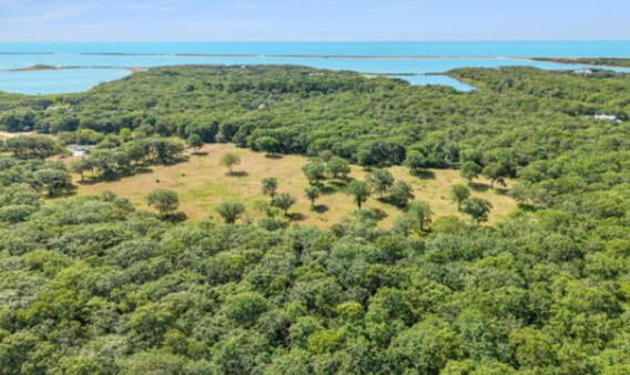 Martha's Vineyard Real Estate